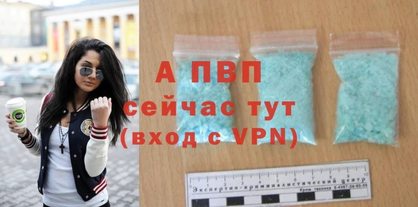 сатива Белоозёрский