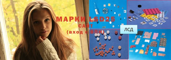 мяу мяу мука Аркадак