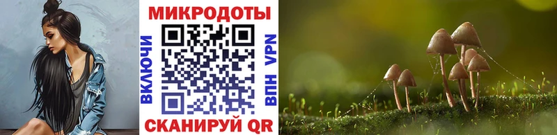 наркота  Малоярославец  мега зеркало  Галлюциногенные грибы GOLDEN TEACHER 